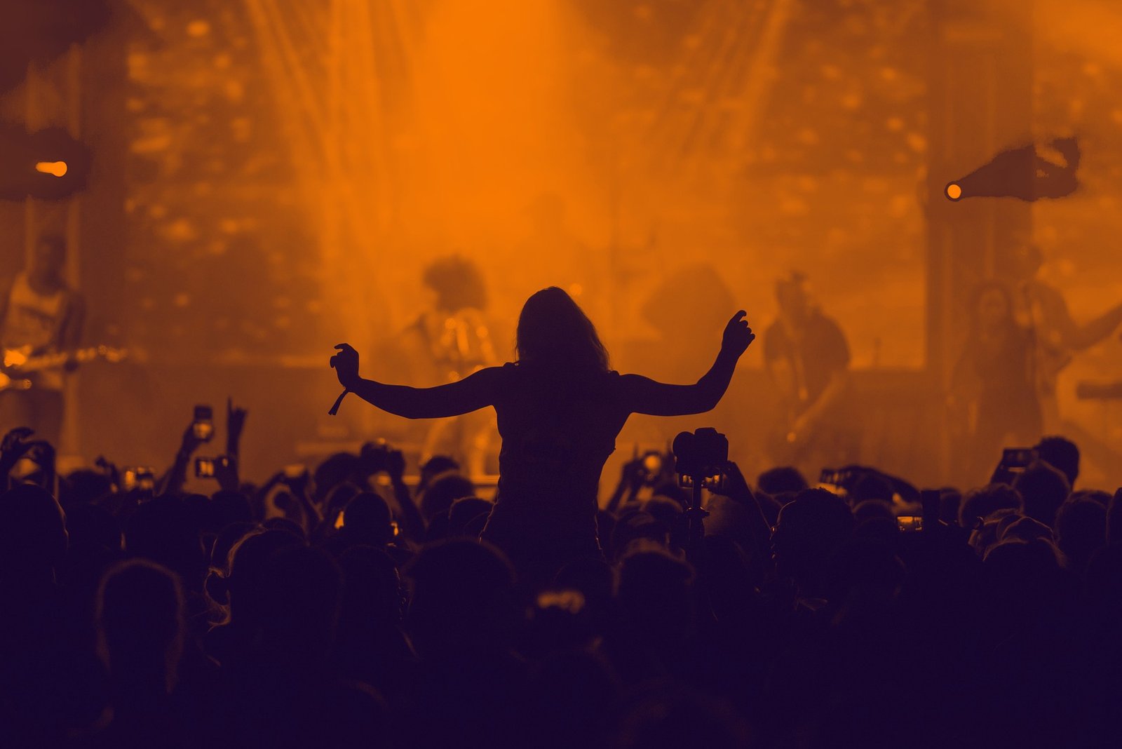 You are currently viewing Festival des Vieilles Charrues